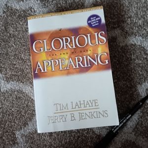 Individual book in left behind series